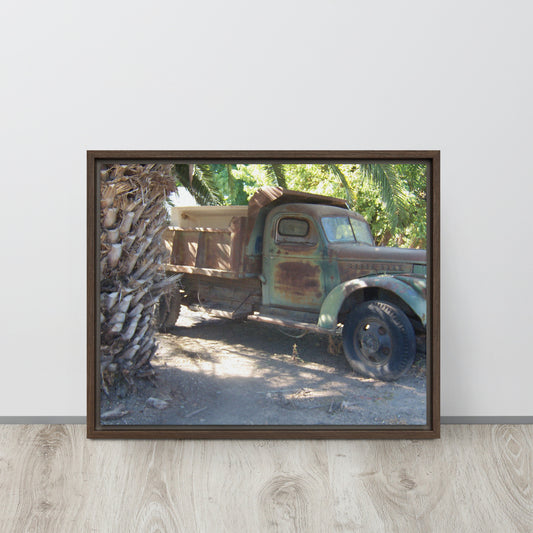 Autolect - Collectors Choice (Bundle)